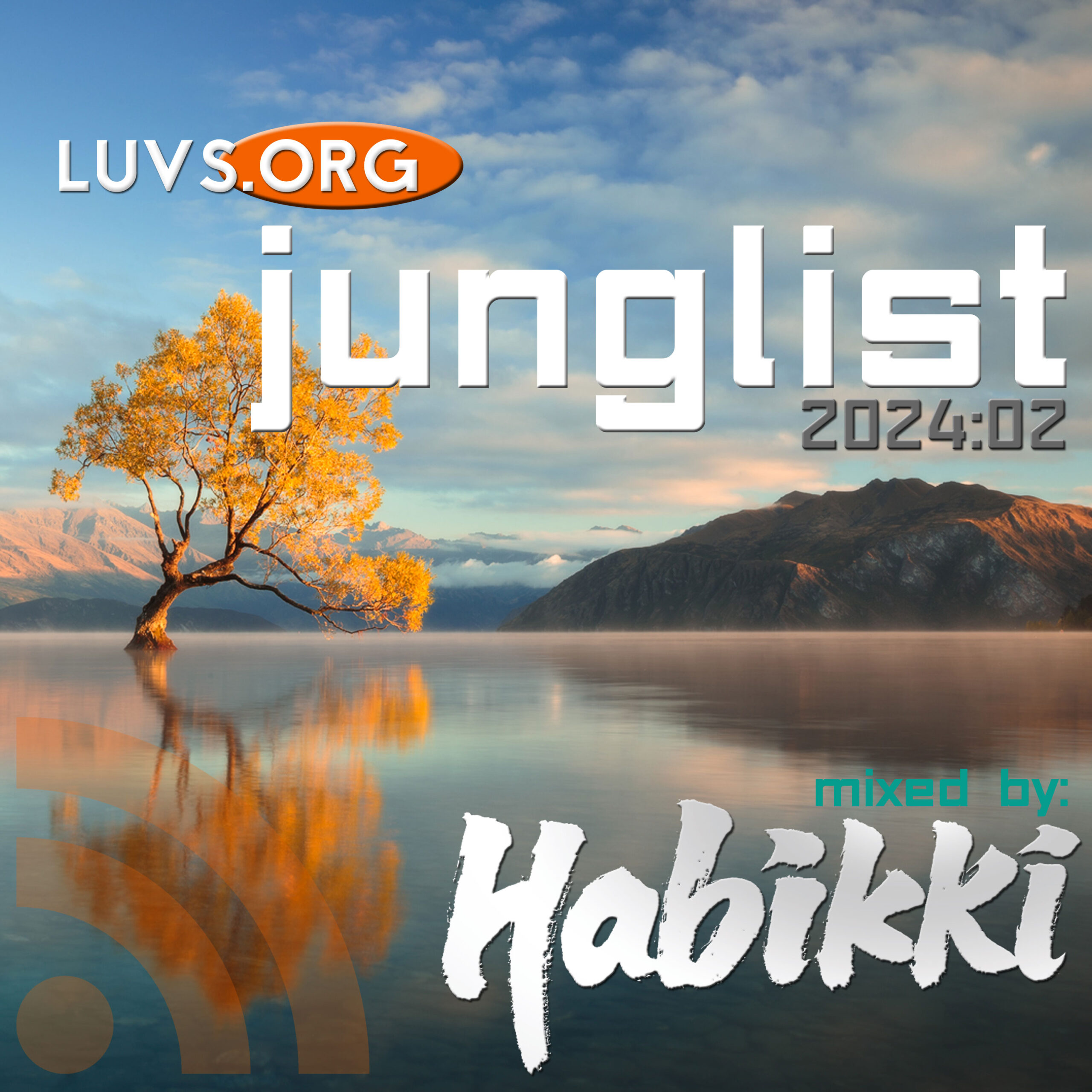 Luvs.org Sessions: [2024:02] Liquid Junglist