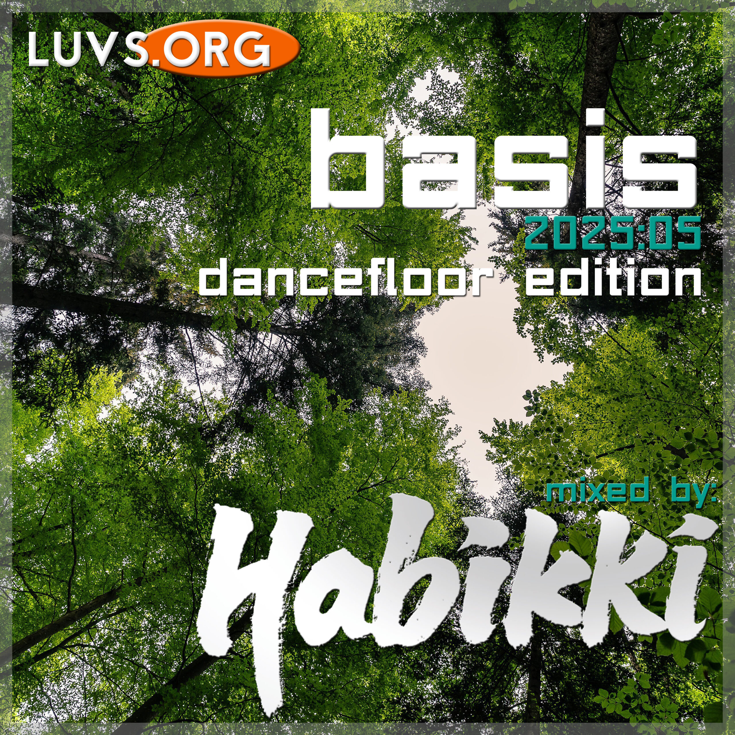 Luvs Sessions: [2025:05] Basis (Dancefloor Edition)