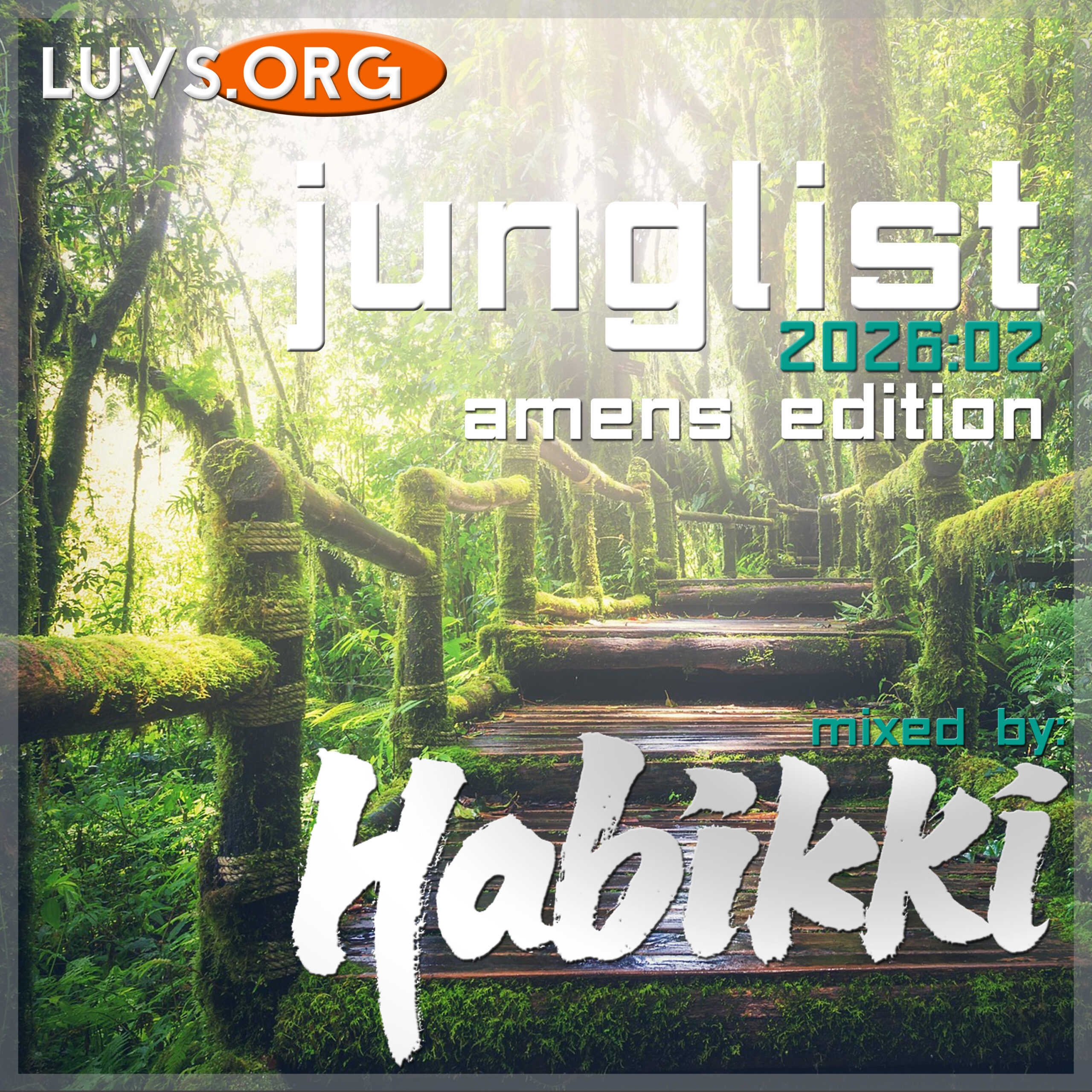 Luvs Sessions: [2026:02] Junglist (Amens Edition)